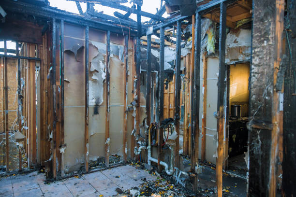 Professional Soot Removal technician working in Princeton, WI